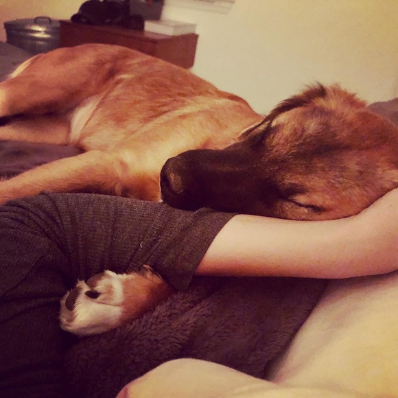 Meet your Posher, Holly - Picture 5 of 12